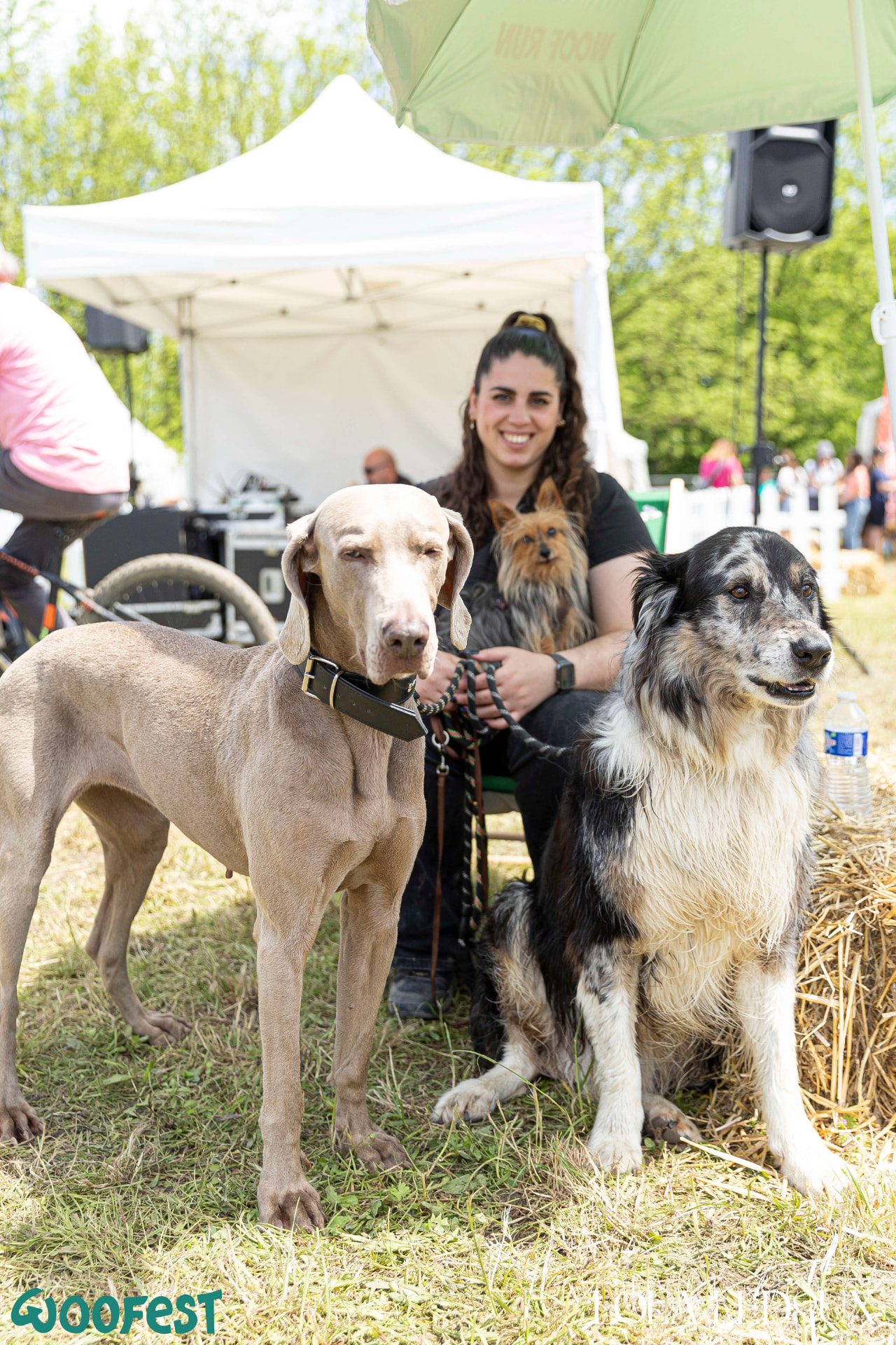Lia entourée de trois chiens lors d'un événement canin en plein air